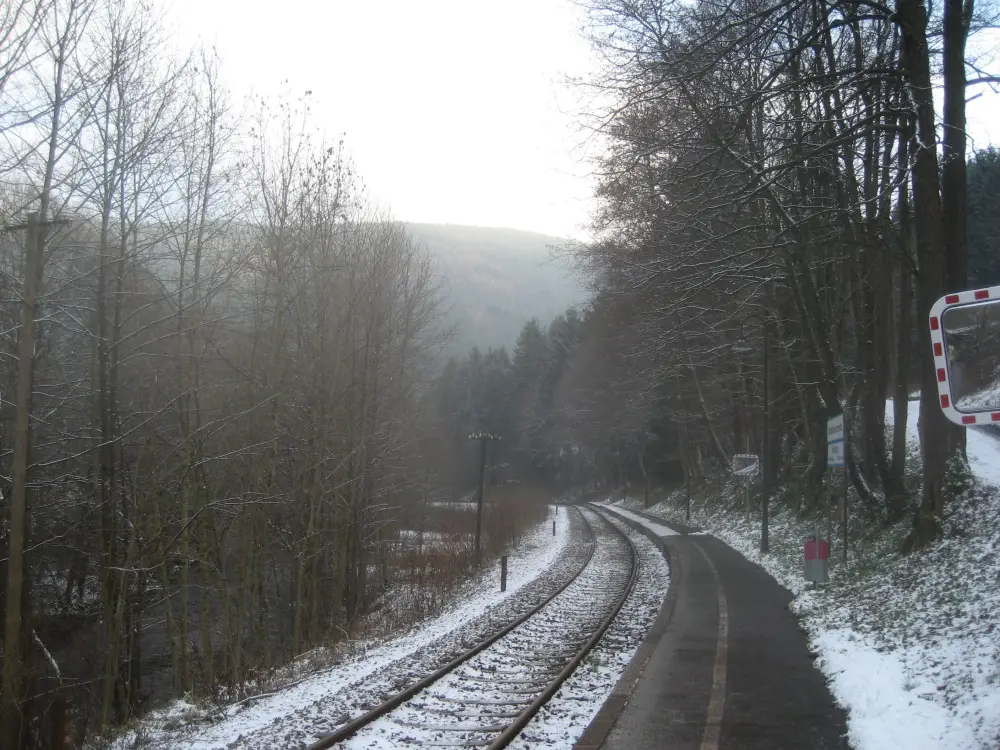 Vakantie Thüringen - Trein en Hotel - Weimar Augusta