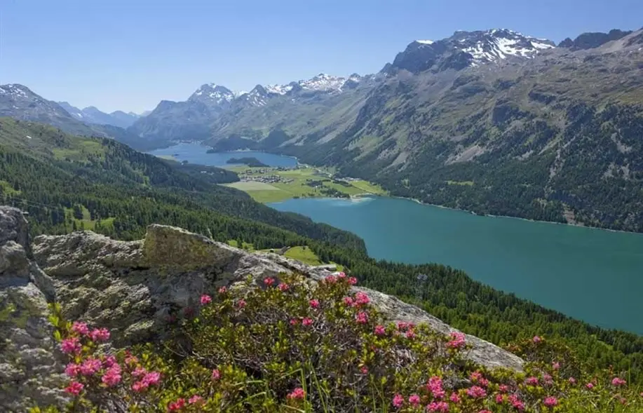Treinvakantie Bever - Trein en Hotel - Bever Lodge