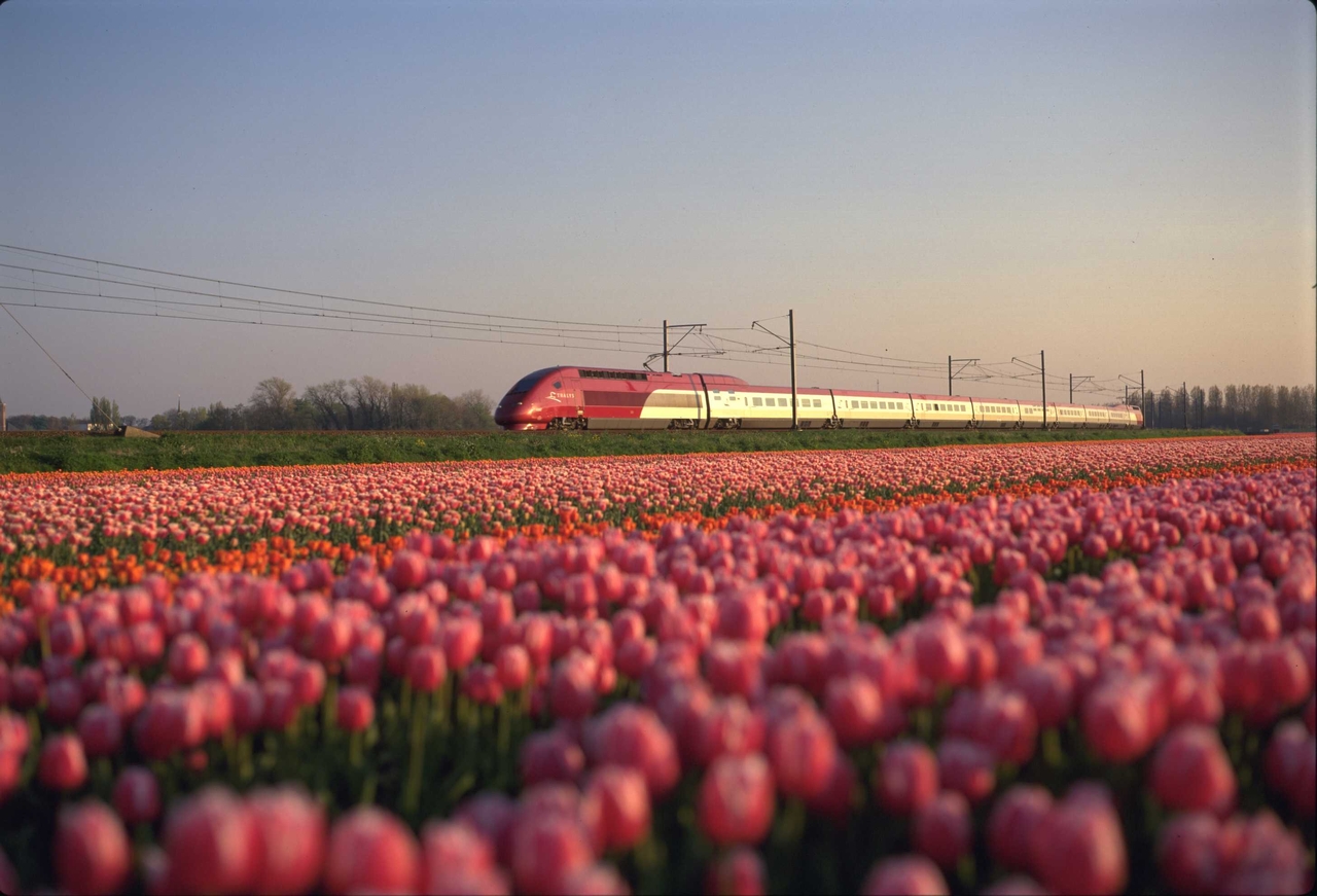 Disneyland Parijs per trein