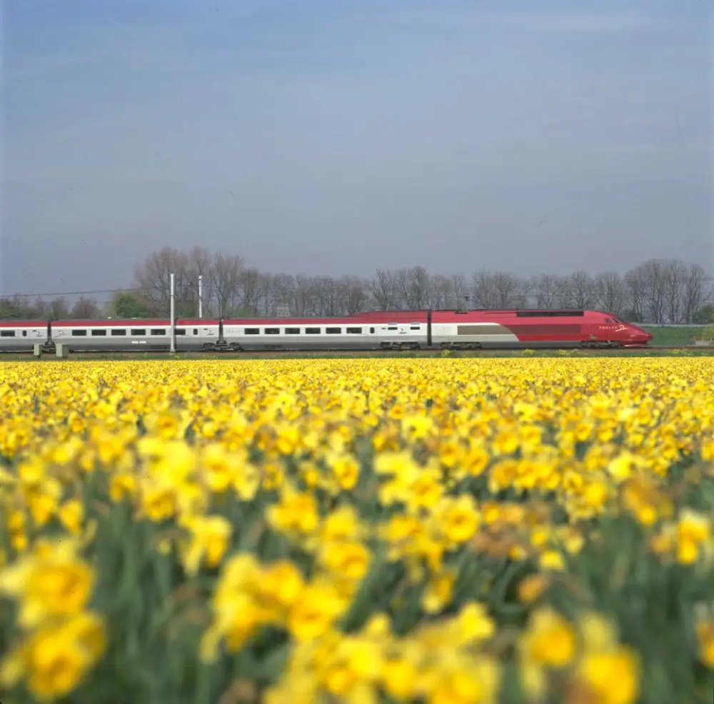 Trein naar Belgie | Goedkope Internationale Treintickets