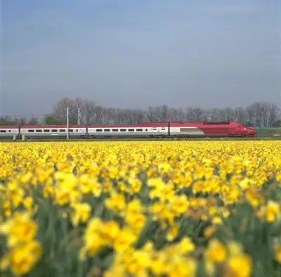  Trein Amsterdam naar Brussel