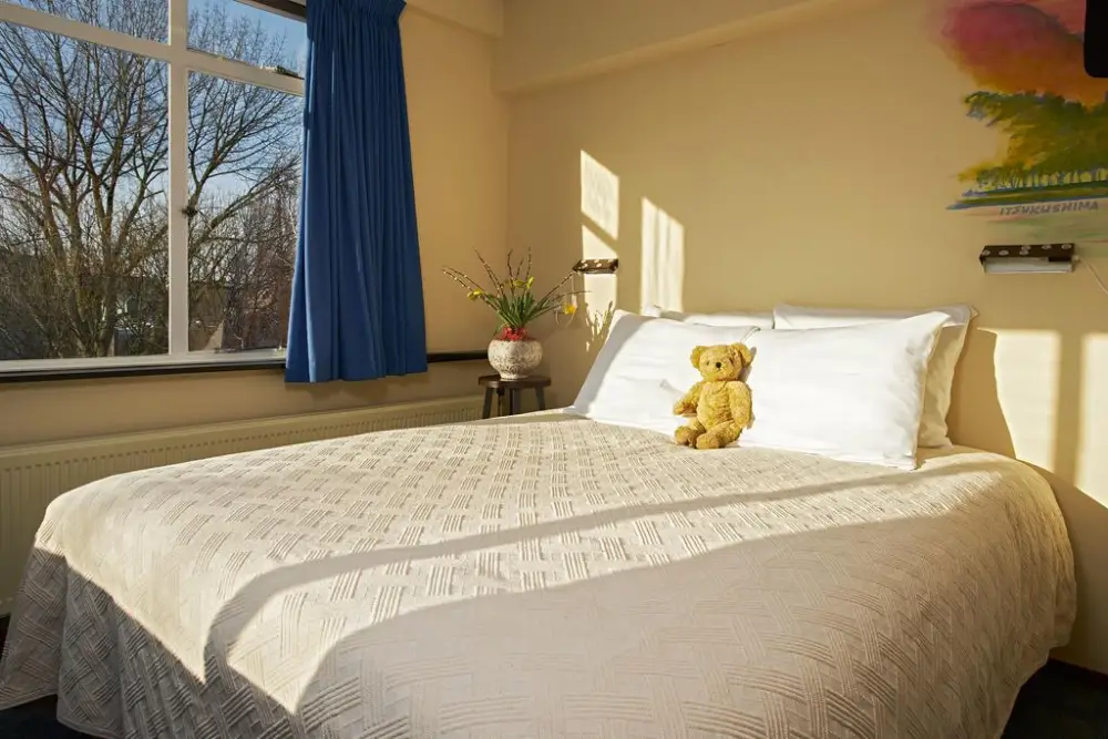 Pension Homeland Amsterdam Room