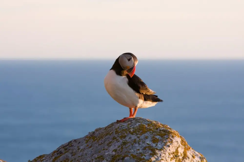 Nordland treinrondreis Noorwegen