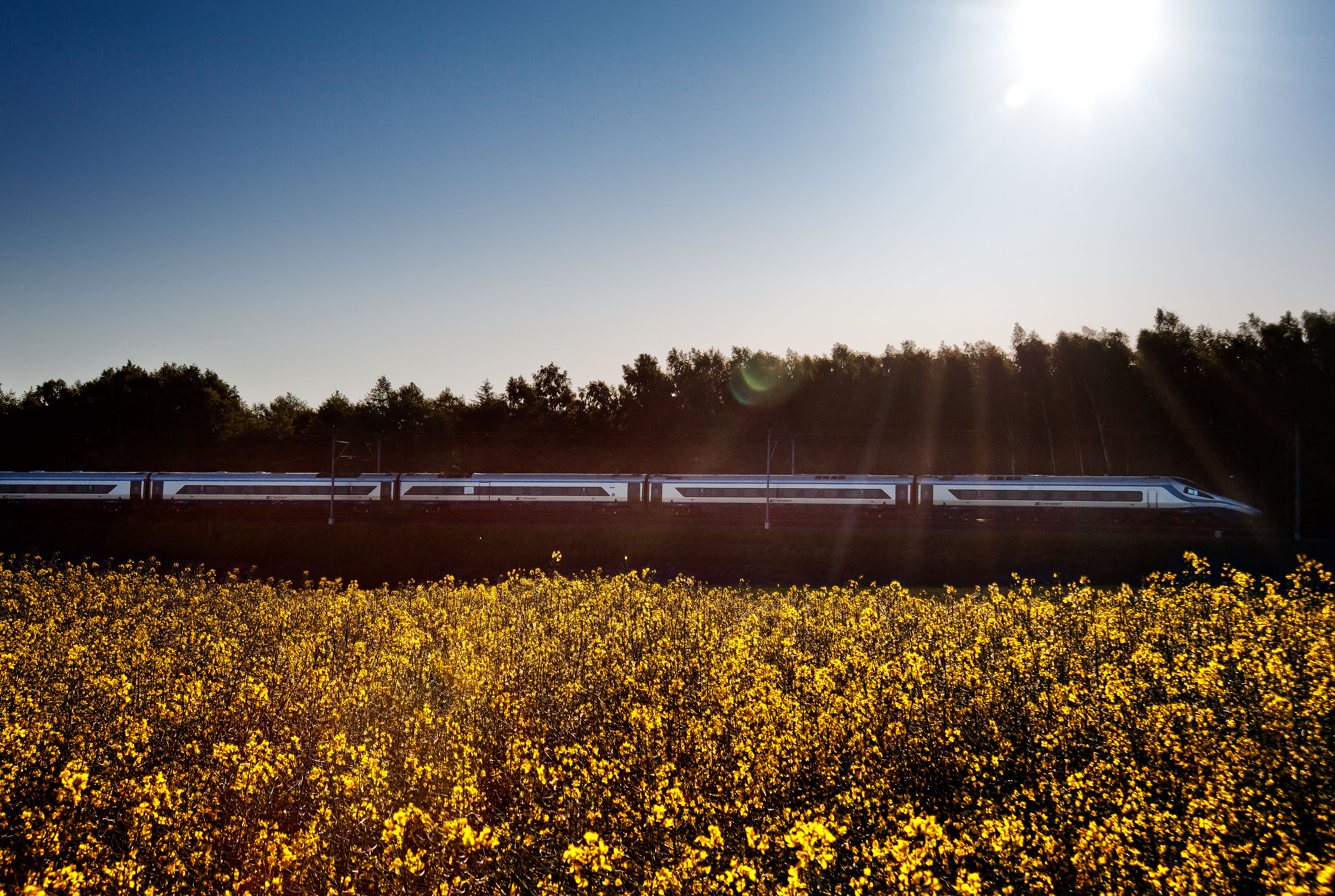 Poland by train - High Speed Train Yellow Flowers