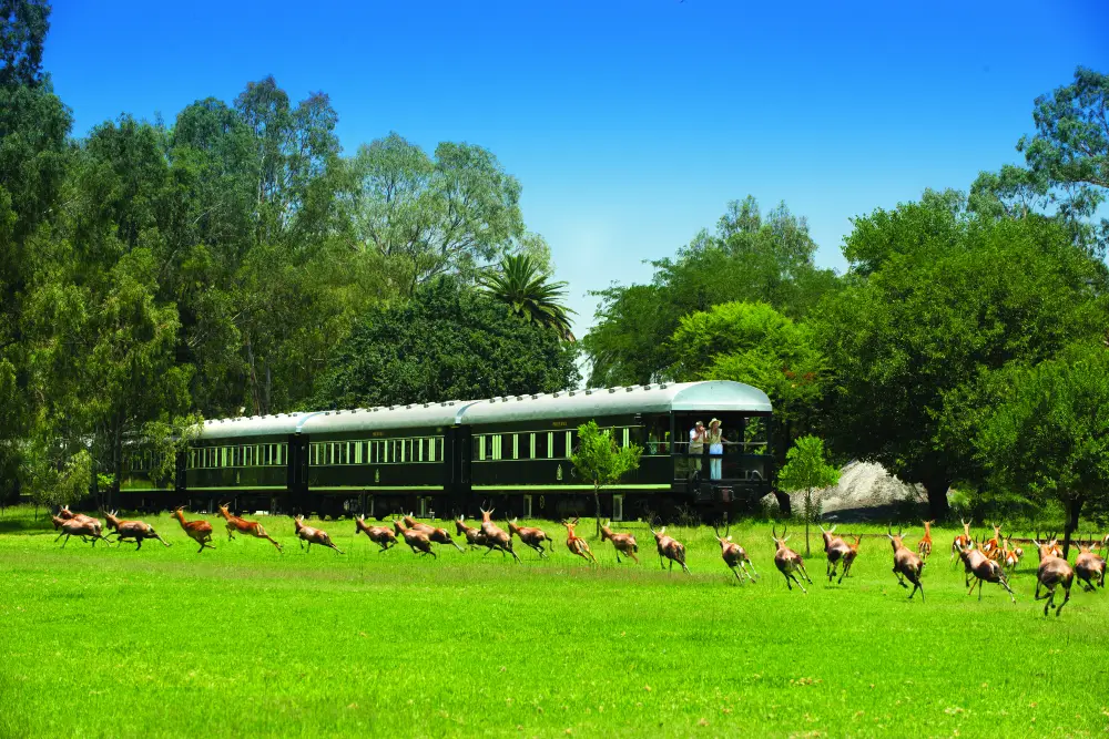 Luxury Trains | Exclusive and Famous Rail Journeys