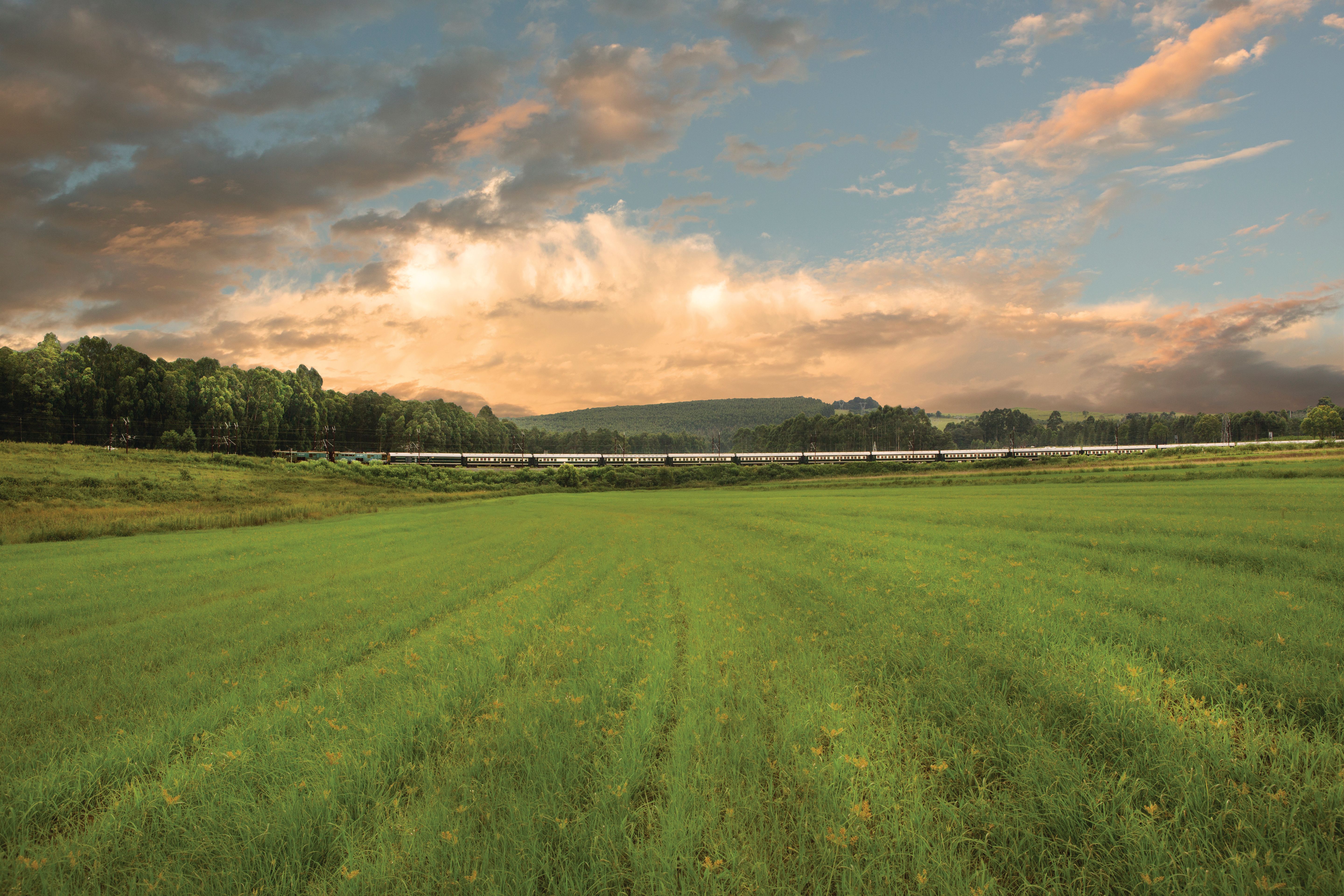 Rovos Rail: Golf Safari Pretoria - Durban Hills Meadow