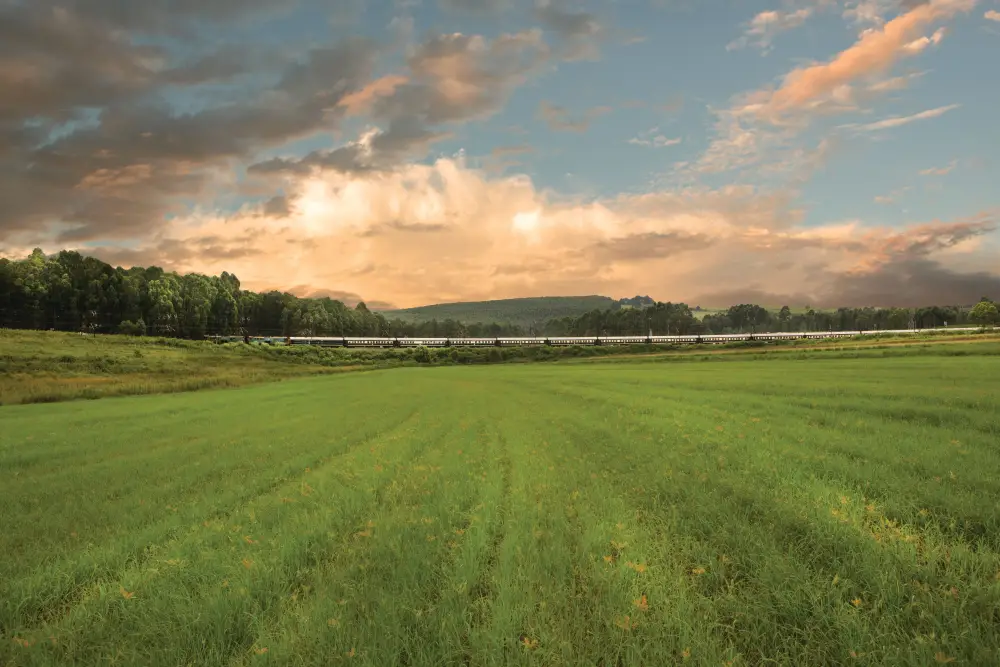 Rovos Rail: Golf Safari Pretoria - Durban Hills Meadow