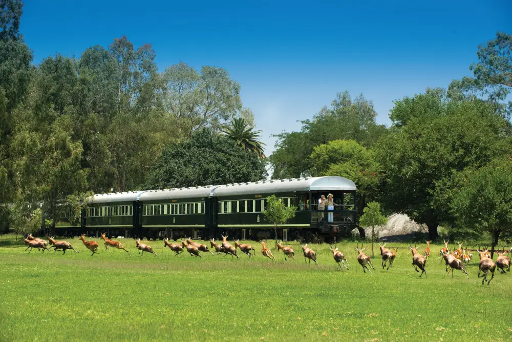 Rovos Rail: Copper Trail Victoria Falls - Lobito / Safari