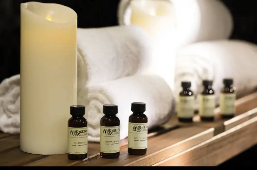 Hotel Whistler | Stedentrip Parijs - Trein en Hotel