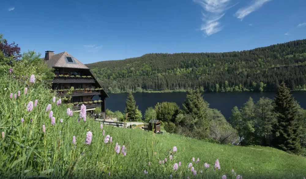 Hotel Alemannenhof, Titisee | Treinvakantie Zwarte Woud Duitsland