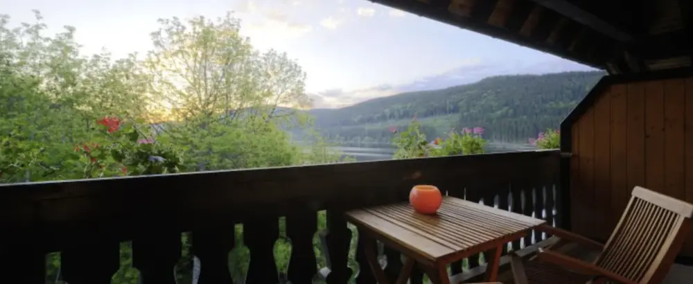 Hotel Alemannenhof, Titisee | Treinvakantie Zwarte Woud Duitsland