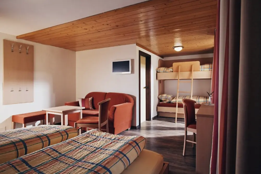 Hotel Des Alpes***  - Vakantie Zwitserland per trein