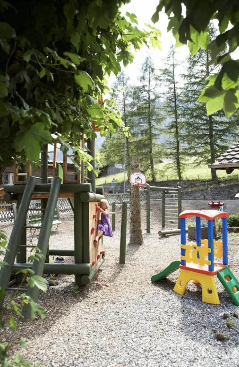 Hotel Des Alpes***  - Vakantie Zwitserland per trein