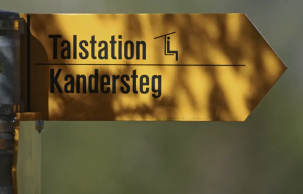 Hotel Des Alpes***  - Vakantie Zwitserland per trein