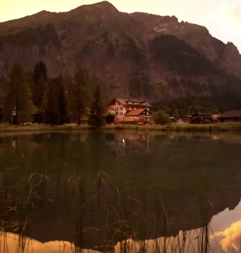 Hotel Des Alpes***  - Vakantie Zwitserland per trein