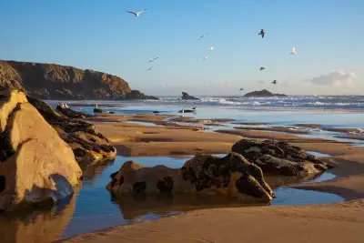 Treinvakantie Atlantische Kust, Frankrijk 
