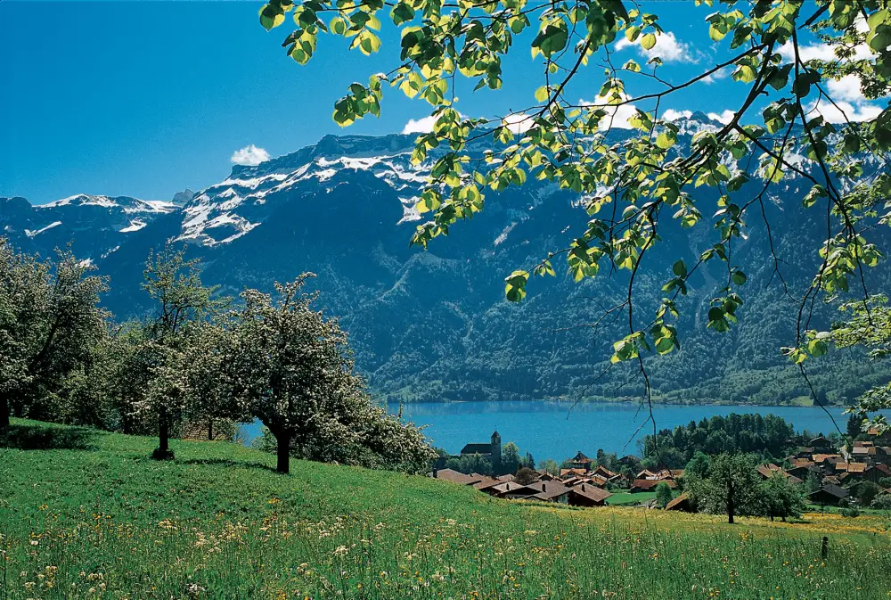 Berner Oberland per trein | Treinvakantie Zwitserland 