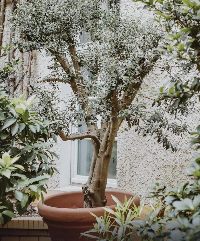 Hongmond Design & Boutique Hotel | Stedentrip Berlijn - Trein en Hotel Duitsland