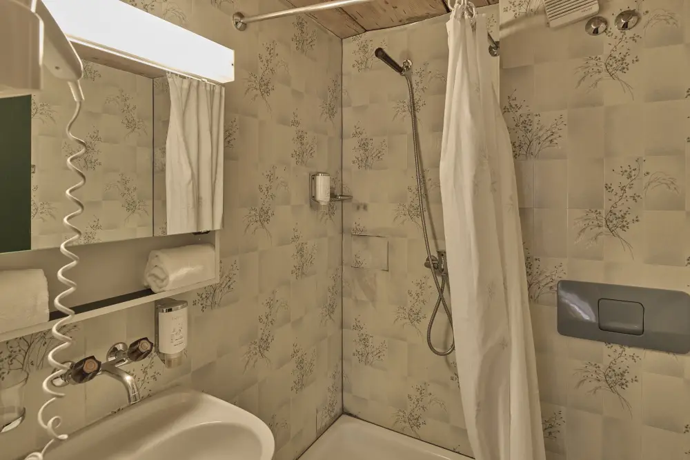 Meivakantie Zwitserland Wilderswil Aanbieding | Treinvakanties