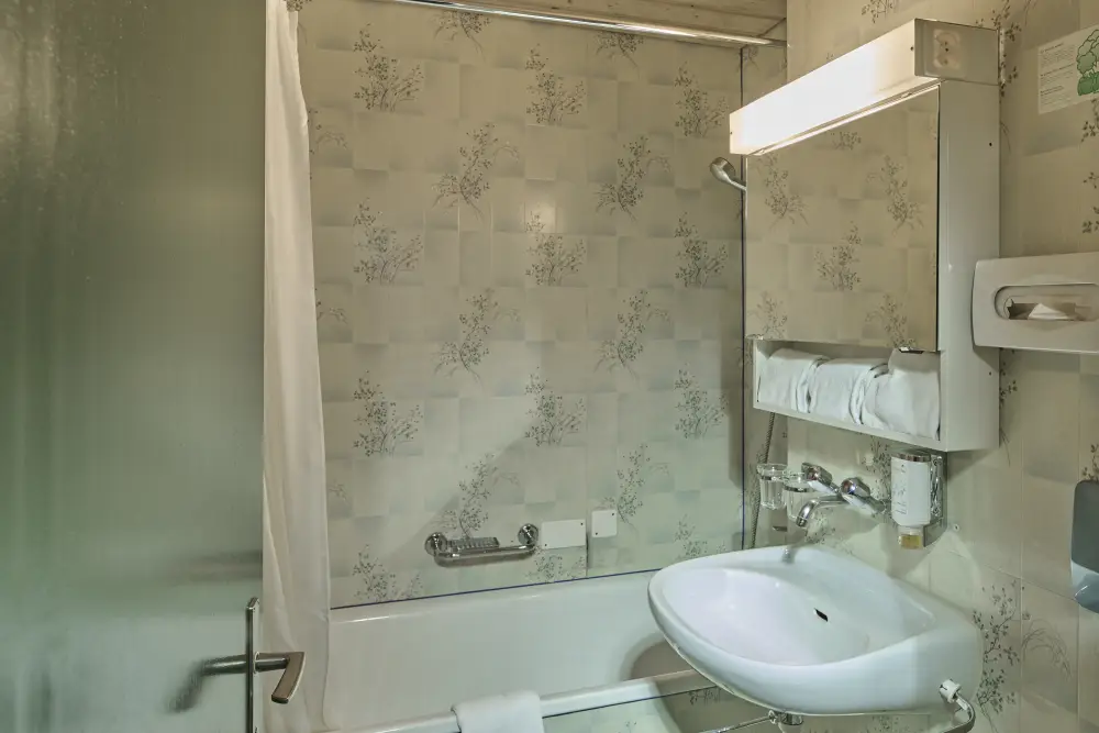 Meivakantie Zwitserland Wilderswil Aanbieding | Treinvakanties