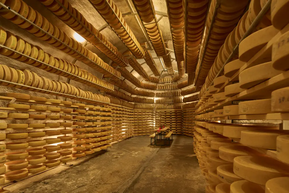 Meivakantie Zwitserland Wilderswil Aanbieding | Treinvakanties