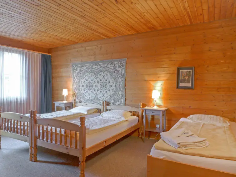 Treinvakantie Zwitserland | Trein en Huisje Wengen