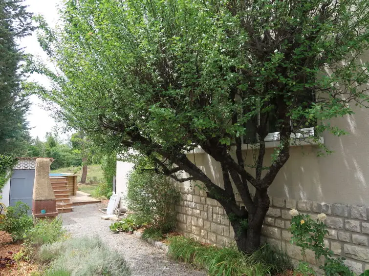 Trein, huisje & huurauto Provence, Frankrijk