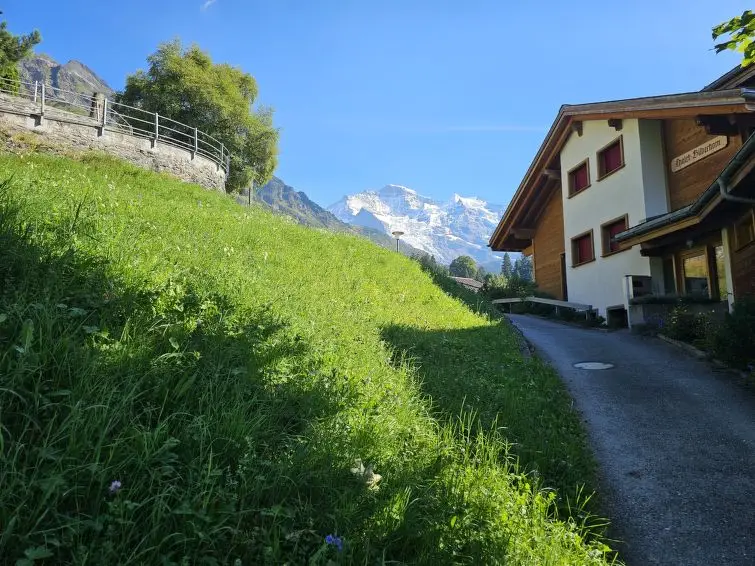 Treinvakantie Zwitserland | Trein en Huisje Wengen