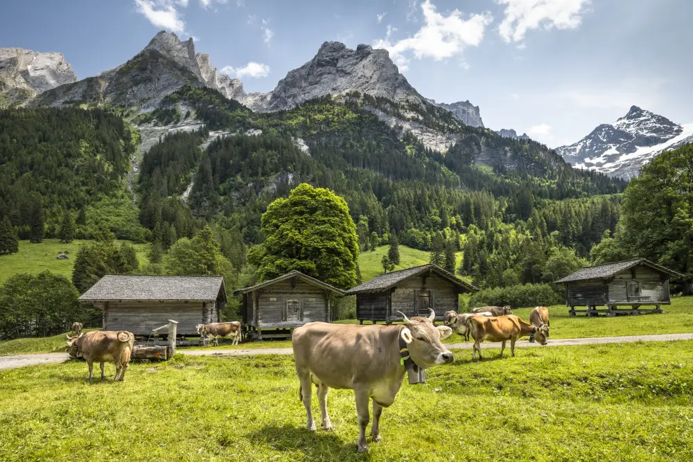 Saver Reis - Voordelige Treinrondreis Zwitserland 