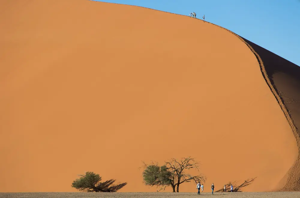 Rovos Rail | Namibia Safari | Dune