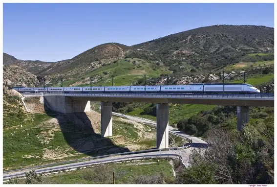 AVE viadukt in Spain / Renfe