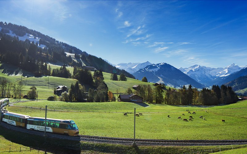 Goldenpass en Kaastrein - 2  (Goldenpass en Kaastrein - 2 )