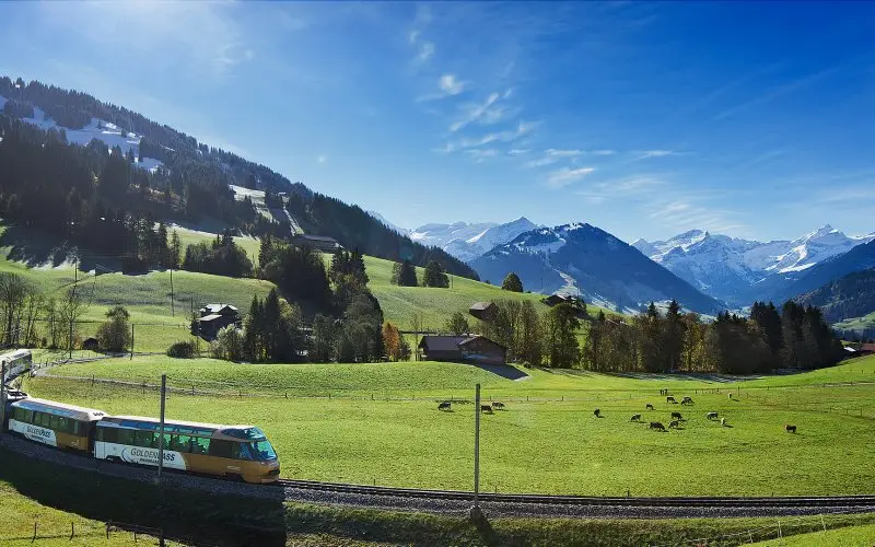 Goldenpass en Kaastrein - 2  (Goldenpass en Kaastrein - 2 )