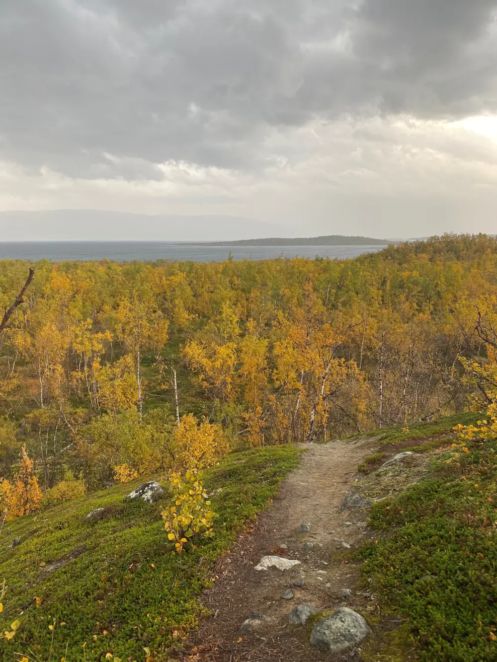 Abisko herfst