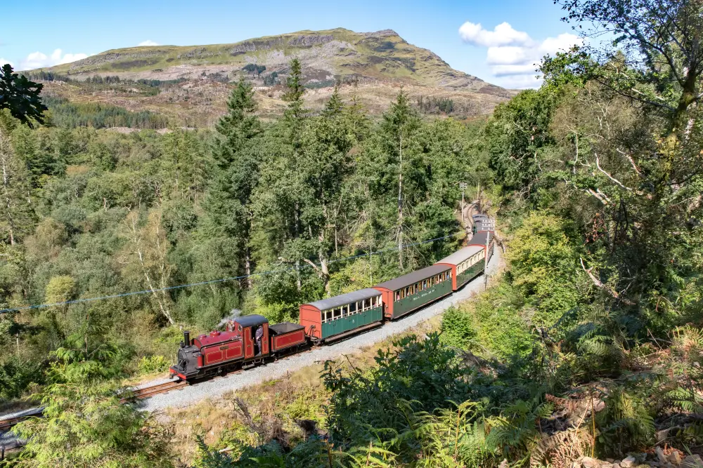 ffestiniog railway forest