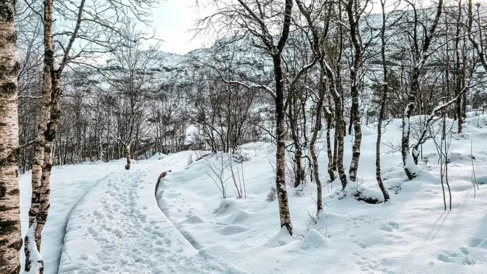 Preikestolen Winter Hike