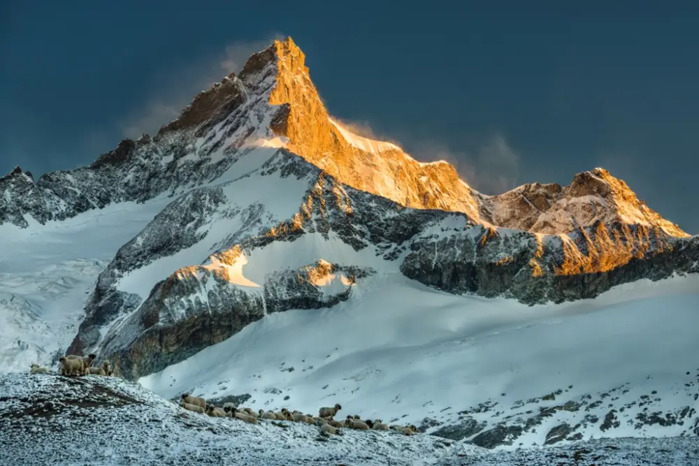 groepsreis Zwitserland Winter