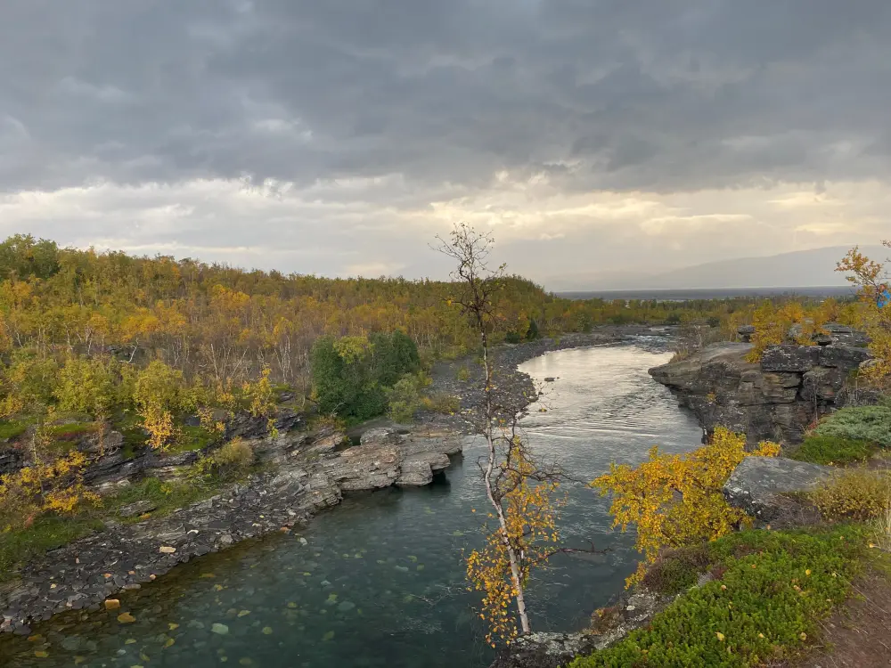 Abisko herfst 2