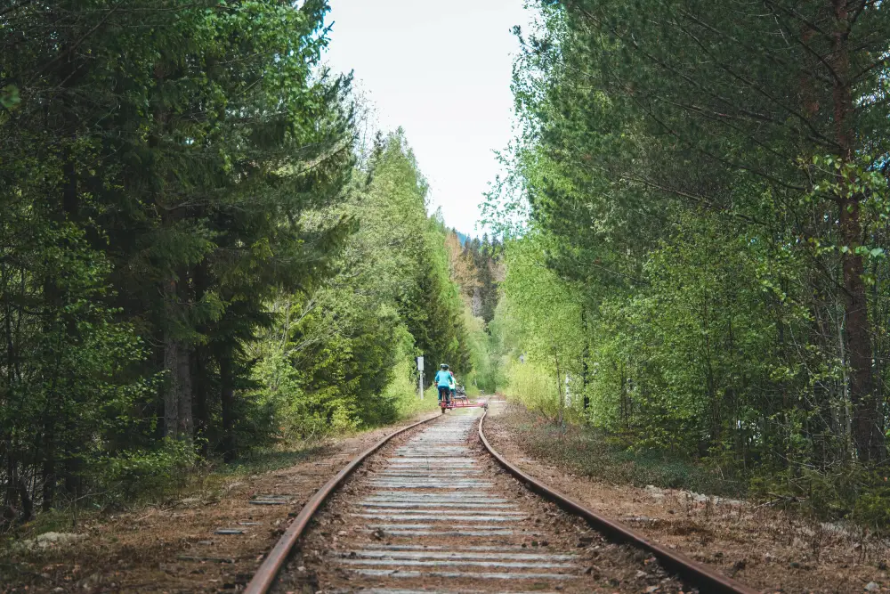 Spoorfietsen Numedalsbanen 3