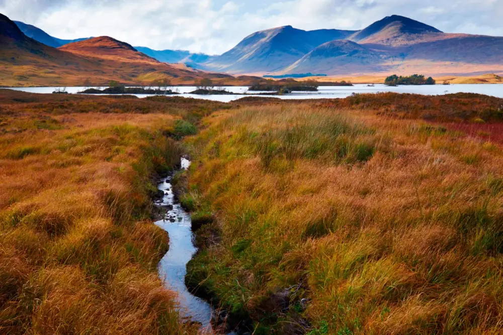 Grand Tour Groot-Brittannie | Rondreis Engeland per Trein 