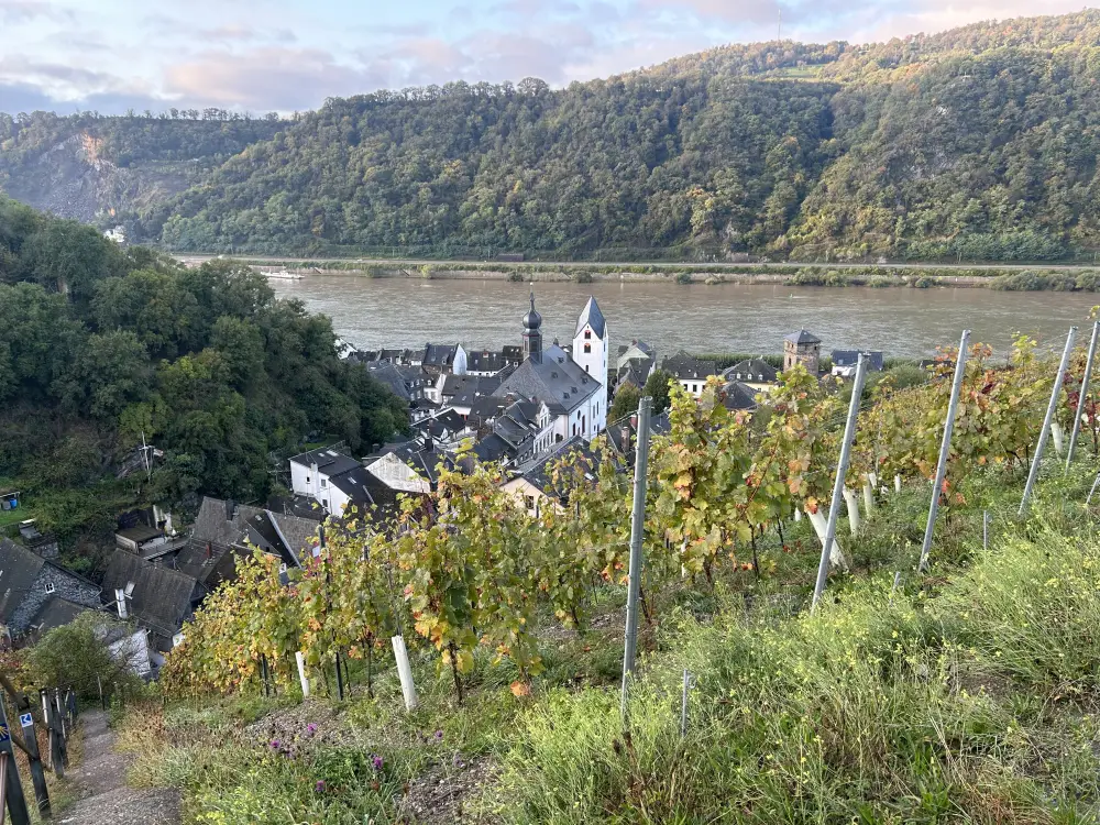Rheinsteig - Kaub
