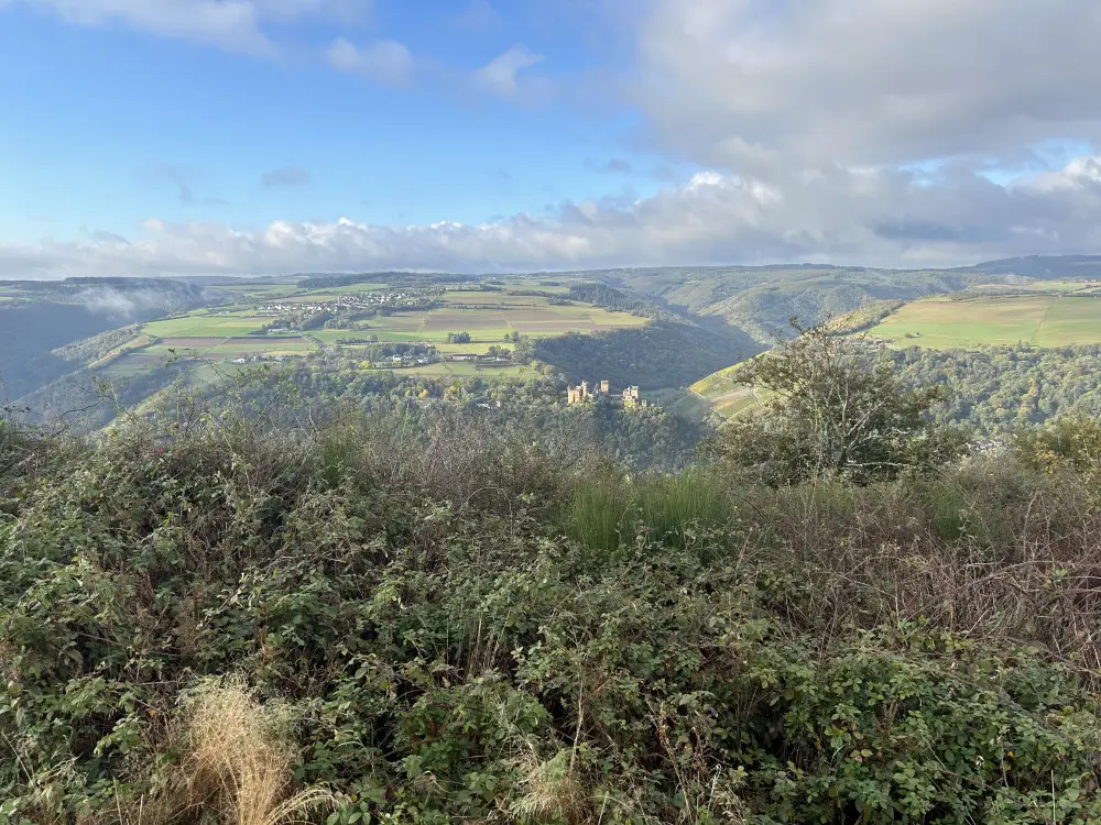Rheinsteig - Afwisselend landschap