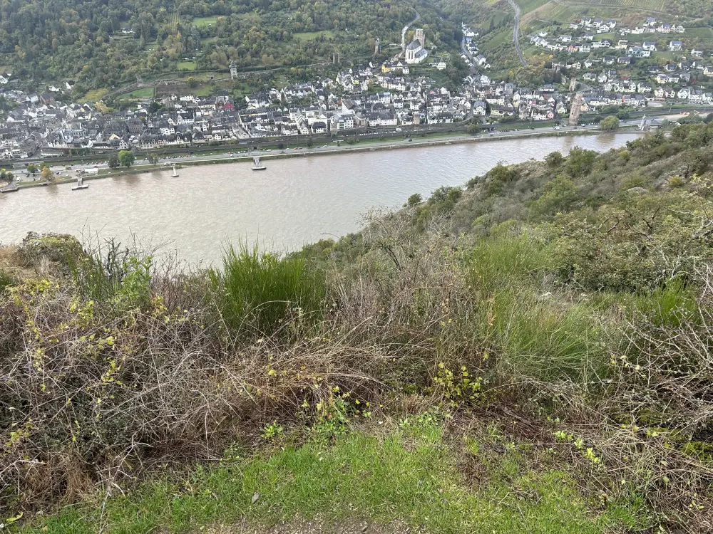 Rheinsteig - Diepte