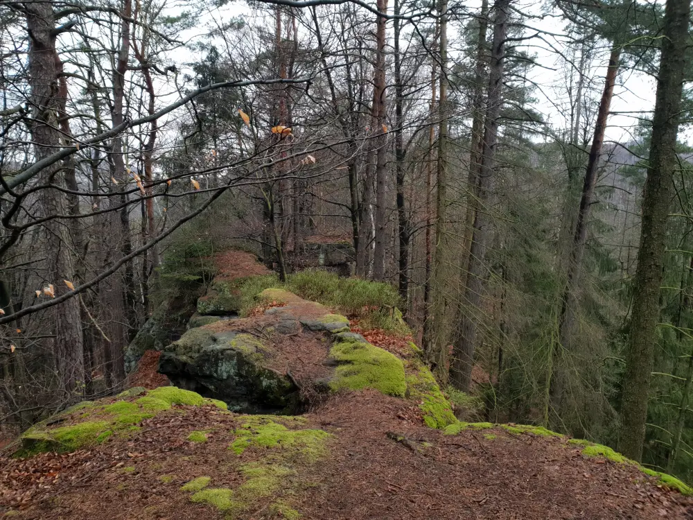 Wandeling in Saksisch Schweiz bij de Elbe