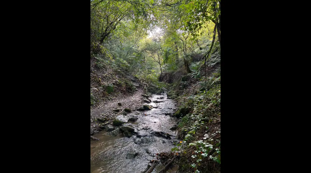 Rheinsteig - Rivier
