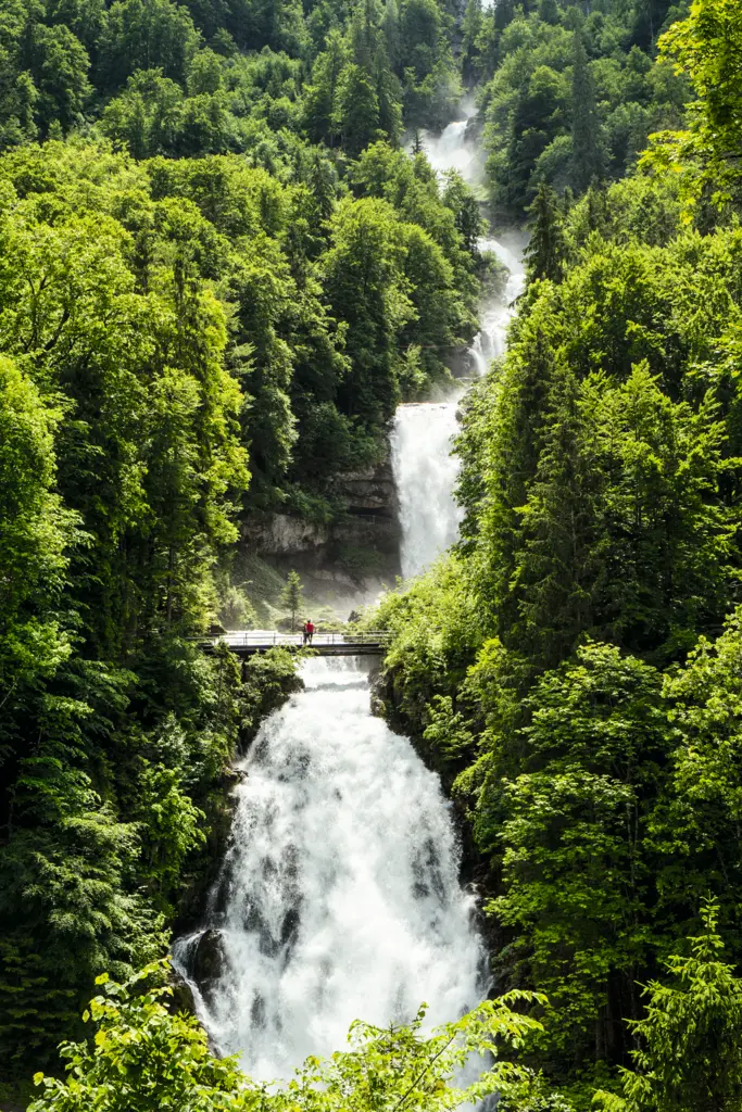 Zwitserland Premium De Luxe - Treinrondreis Zwitserland 