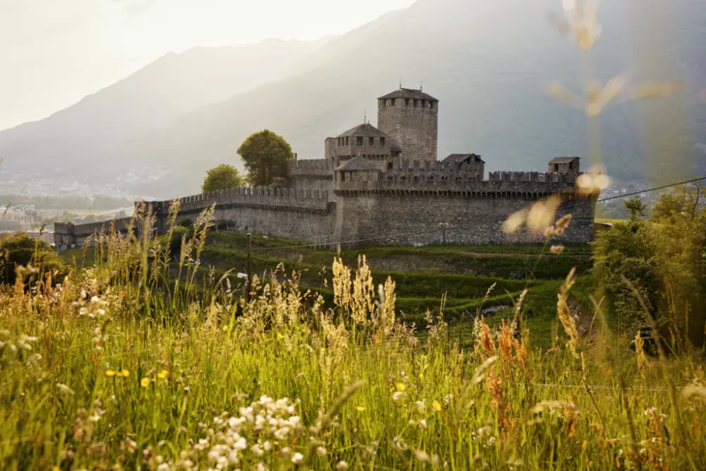 Bergen en Meren - Treinrondreis Zwitserland