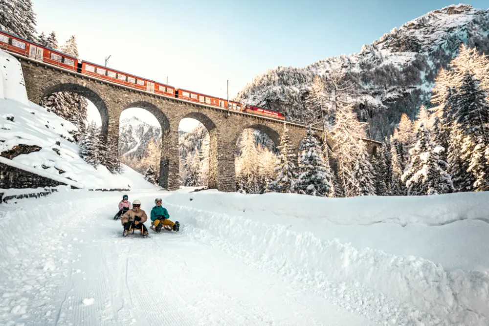 Treinrondreis Zwitserse Winter Panorama's Berguen tobogganing