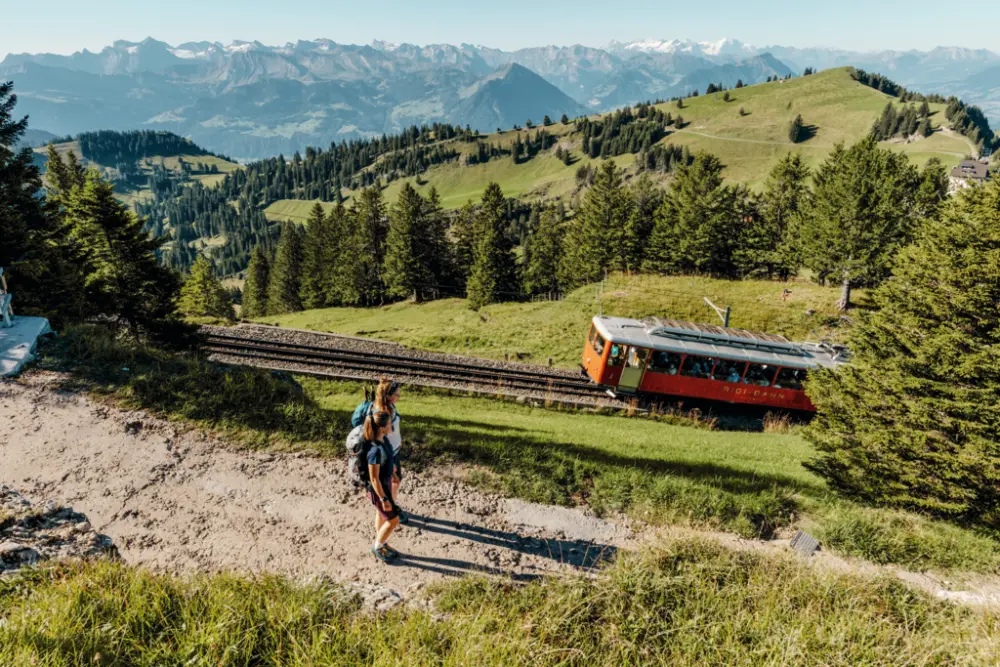 Zwitserland Groepsreis Deluxe - Rigi trein