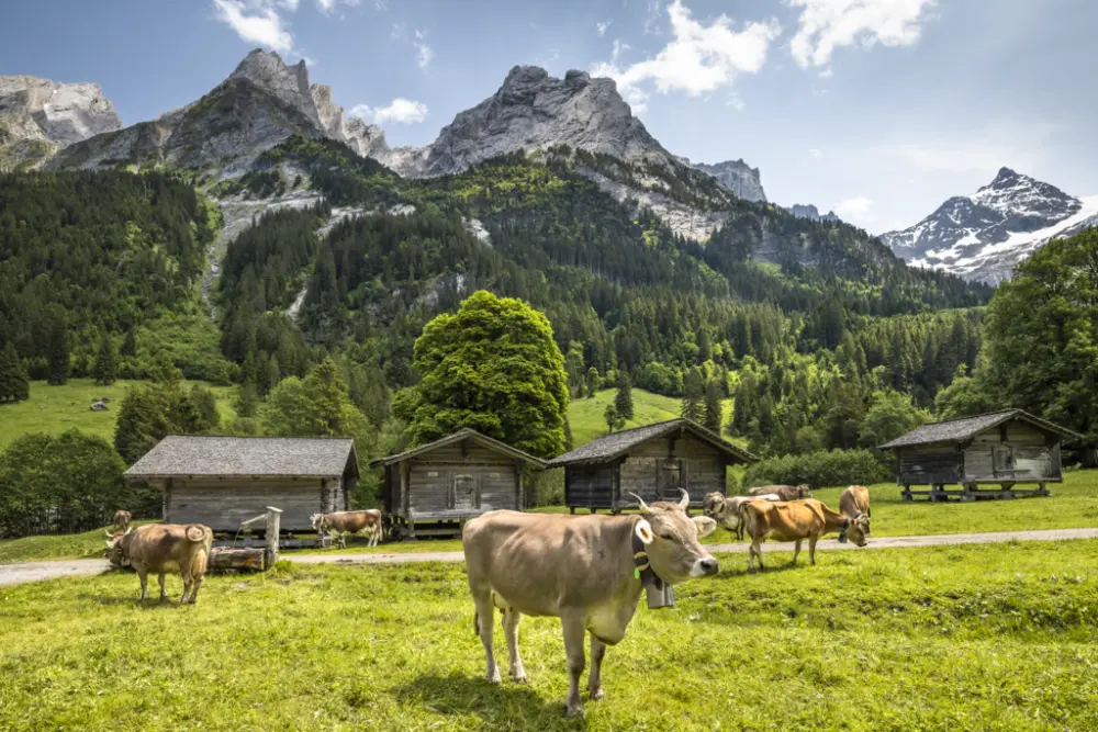 Golden Pass en Chocoladetrein - Treinrondreis Zwitserland 